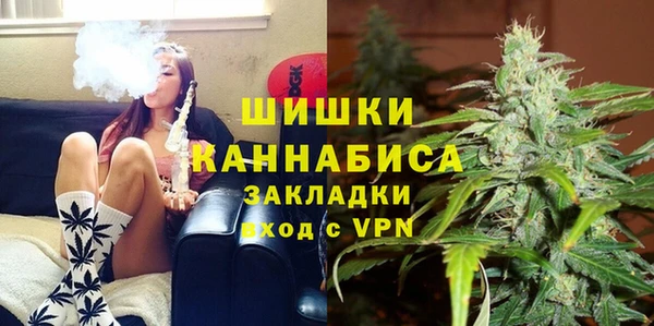 ECSTASY Лиски