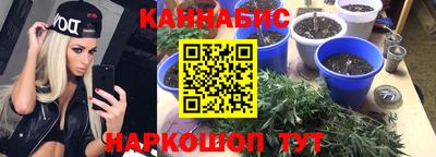 ПСИЛОЦИБИНОВЫЕ ГРИБЫ Заводоуковск