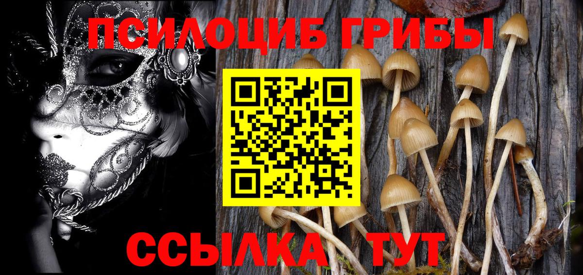 Нижневартовск  Псилоцибиновые грибы прущие грибы  Вход с VPN 