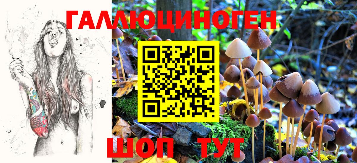 Галлюциногенные грибы Psilocybine cubensis Нижневартовск
