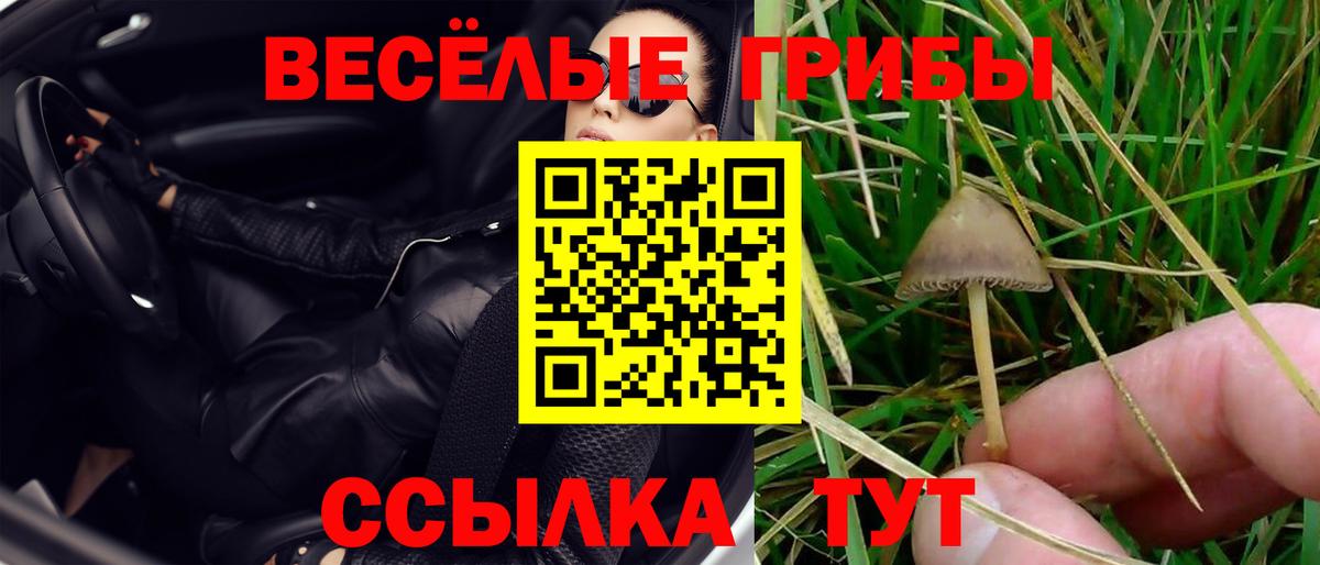 Нижневартовск  ГАШ  Вход с VPN  Бошки Шишки  Лсд 25  Мефедрон кристаллы  МЕФ  МЕТАМФЕТАМИН 