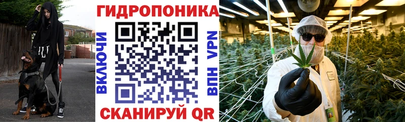 где купить наркоту  Нижневартовск  Марихуана индика 